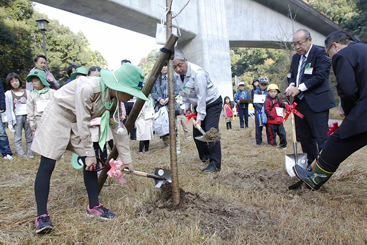 同日行われた八代地域植樹活動