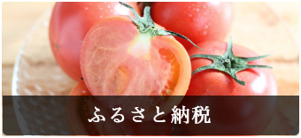 ふるさと納税