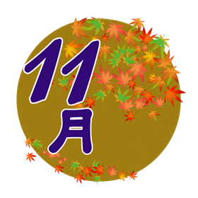 11月