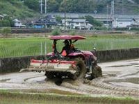 西山さん田植え１