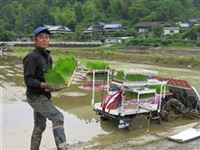 西山さん田植え６