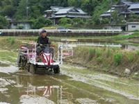 西山さん田植え１１