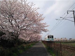 中居さん写真１３