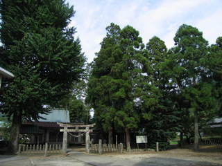 久多良木神社の森.JPG