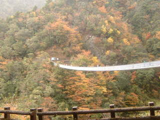 梅の木轟公園吊橋.JPG