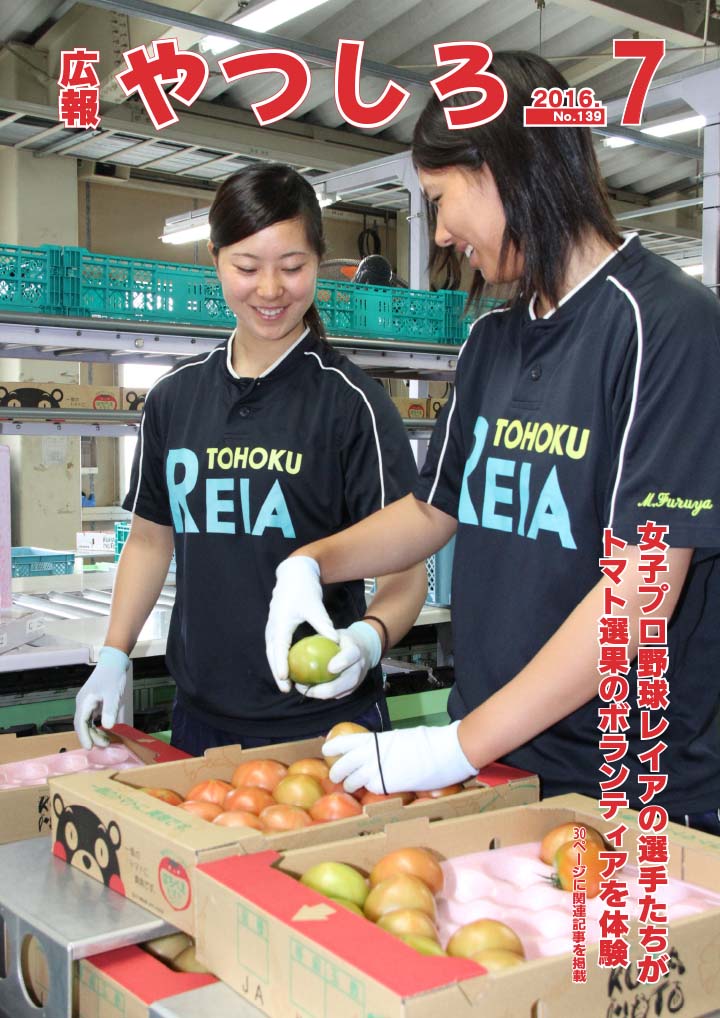 女子プロ野球レイアの選手たちがトマト選果のボランティアを体験