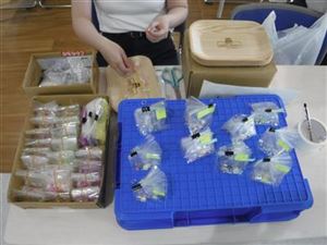 ビーズアクセサリー作り1