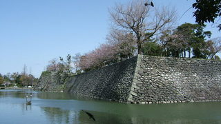 DSCF3209.JPG