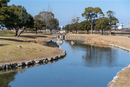 せせらぎ水路