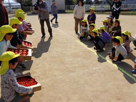 トマトを見て喜ぶ園児たち