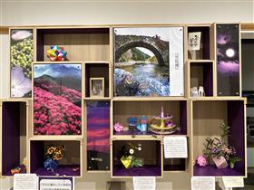 体の中にできる石の展示