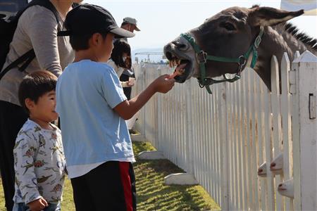 ▲子どもたちに大人気の移動動物園