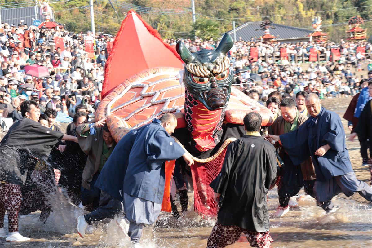 ガメ