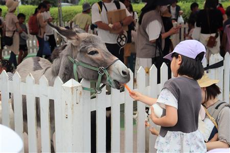 ▲移動動物園