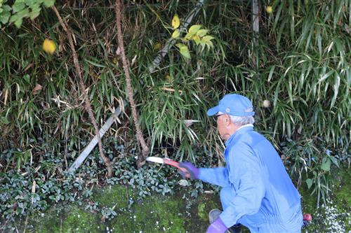 線路上の雑草を草刈機で払い、手作業で丁寧に抜き取る参加者