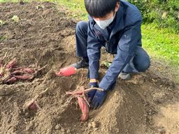 photo_20241125-084001_3
