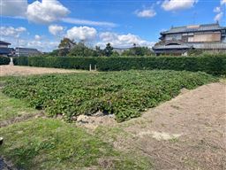 photo_20241125-083455_2