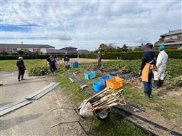 photo_20241125-083456_3