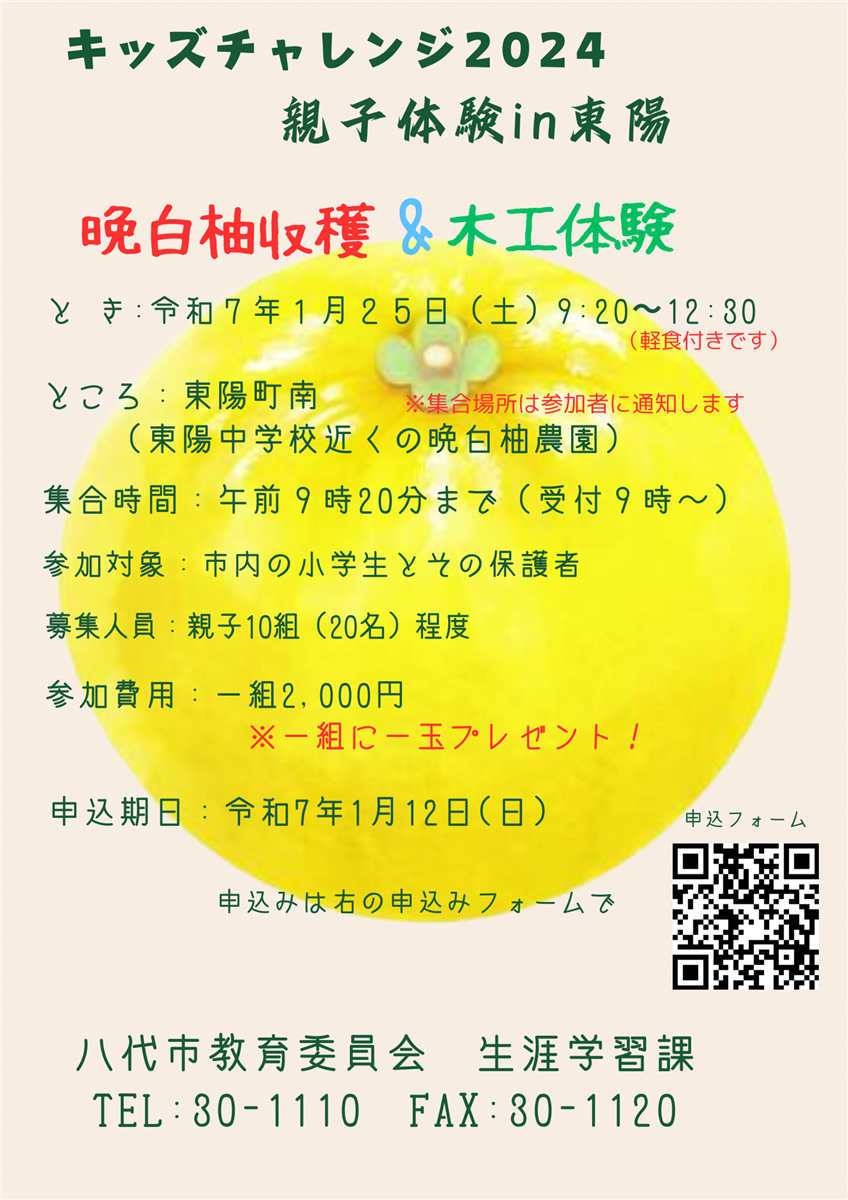 晩白柚収穫＆木工体験の画像