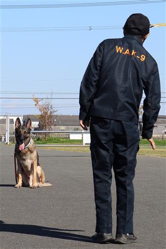 ▲警察犬デモンストレーション　