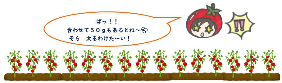 とまみの畑Vol５イラスト