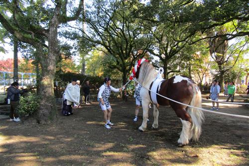 浅井神社例祭でお祓いを受ける神馬