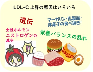イラストLDL-C上昇原因はいろいろ