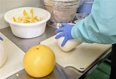 晩白柚の皮むき