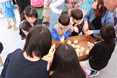 移動動物園