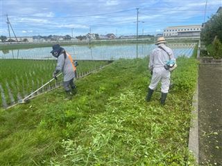 草刈り3