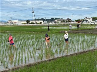 がんづめ2 (2)