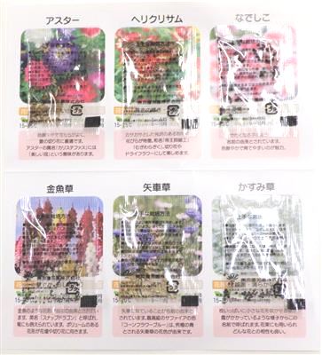 花の種子（見本）