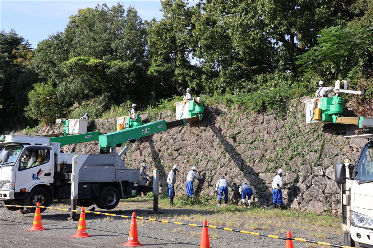 ボランティア清掃の様子の画像