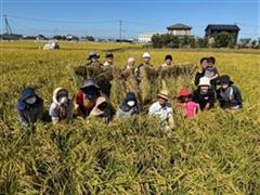 photo_20251017-082249_2