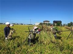 IMG_8627