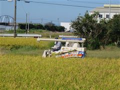 IMG_8633