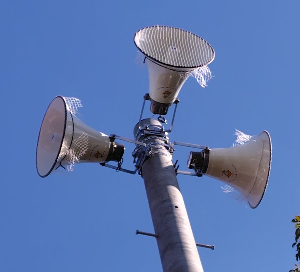 広報紙掲載用写真