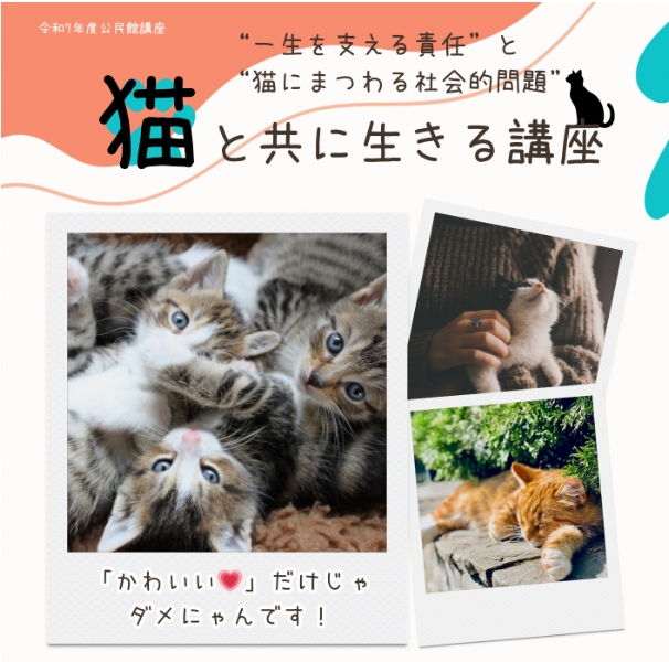 猫と共に生きる講座の画像