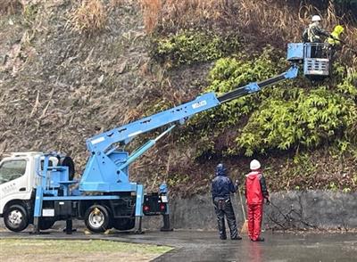 高所作業車を使い剪定などを行う様子