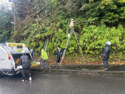 剪定した枝などをパッカー車に運ぶ様子