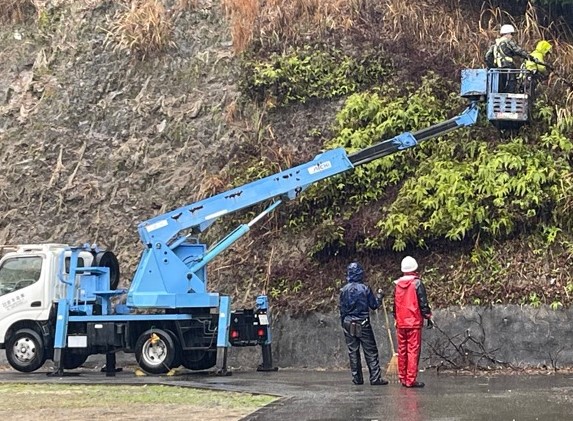 高所作業車を使い剪定などを行う様子の画像