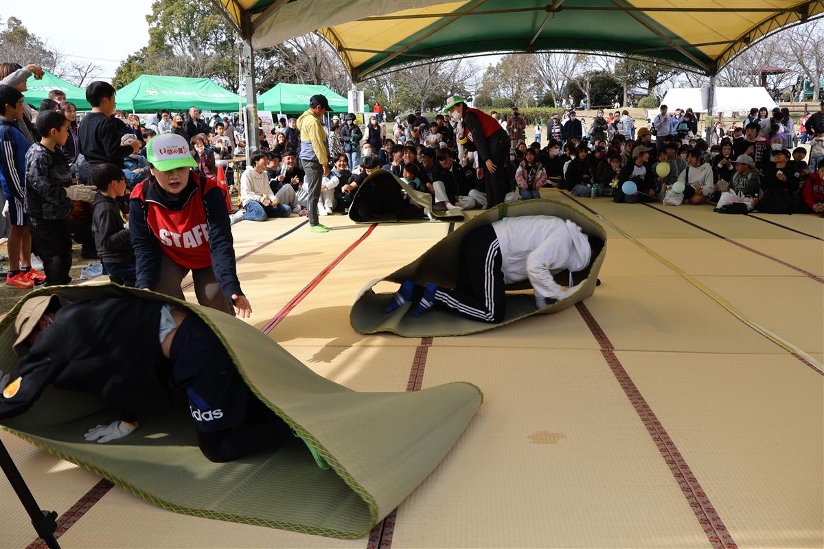 ハムスター競走の画像