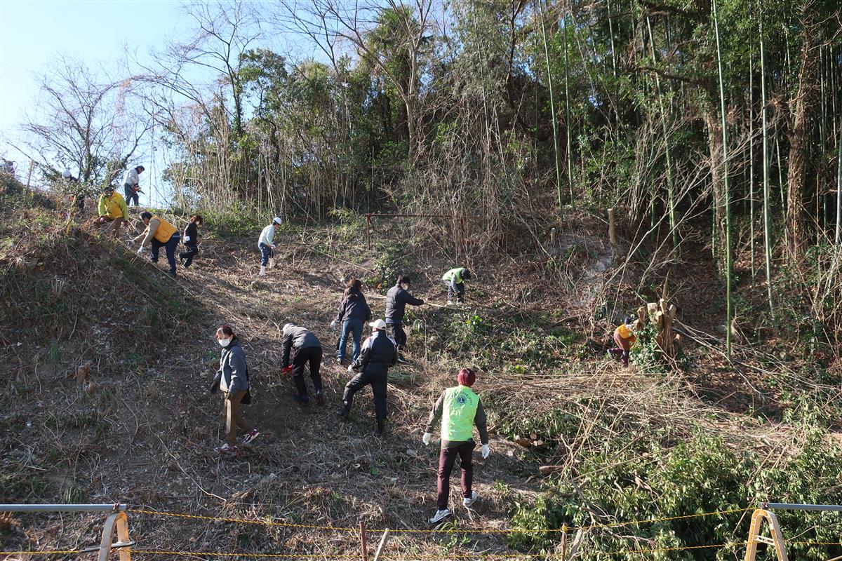作業の様子の画像
