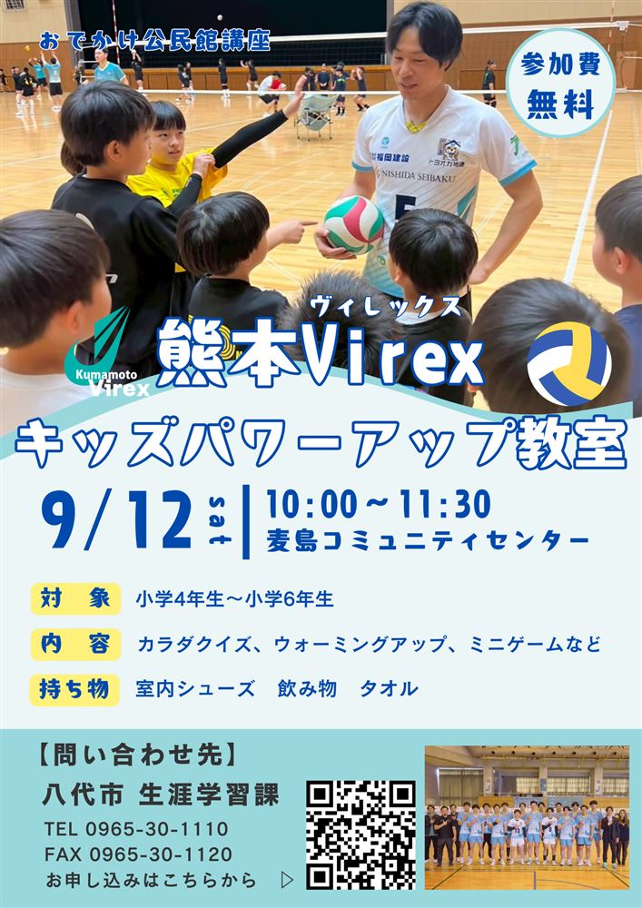 Virexチラシ