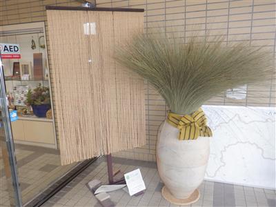 玄関原草