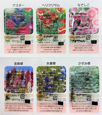 花の種子（内装）