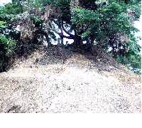 産島古墳(八千把).bmp