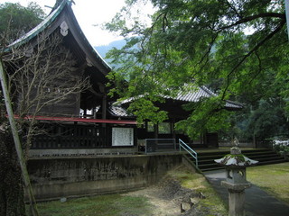中津阿蘇宮の森.JPG