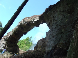 DSC05193.JPG