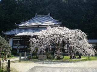 DSCN9950.JPG